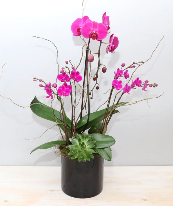 30 Skibny Ssainless SteelaTumbler9aStrawbler9aHummingbird Floweru Pink Purple fashion Orchids Personalize73Gift